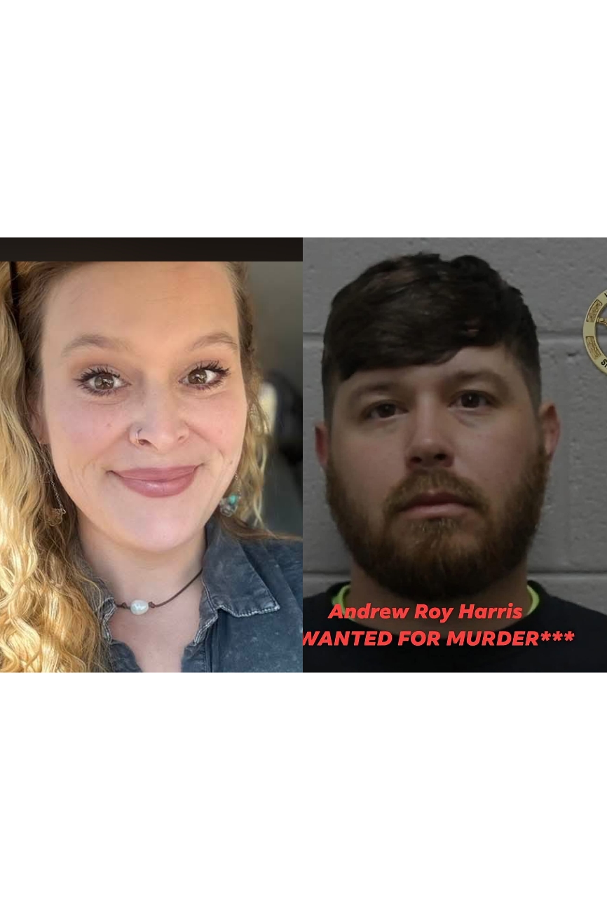 Harris County Murder Investigation: Nicole Karastury Elliott Killed, Andrew Roy Harris Wanted.
